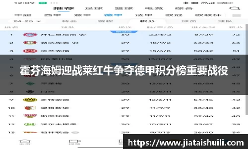 霍芬海姆迎战莱红牛争夺德甲积分榜重要战役